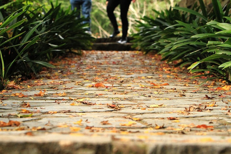 Nature Trail Meditation